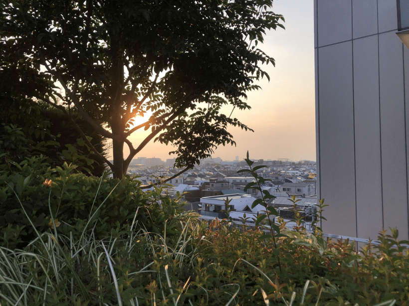 Things You Should Bring to Japan