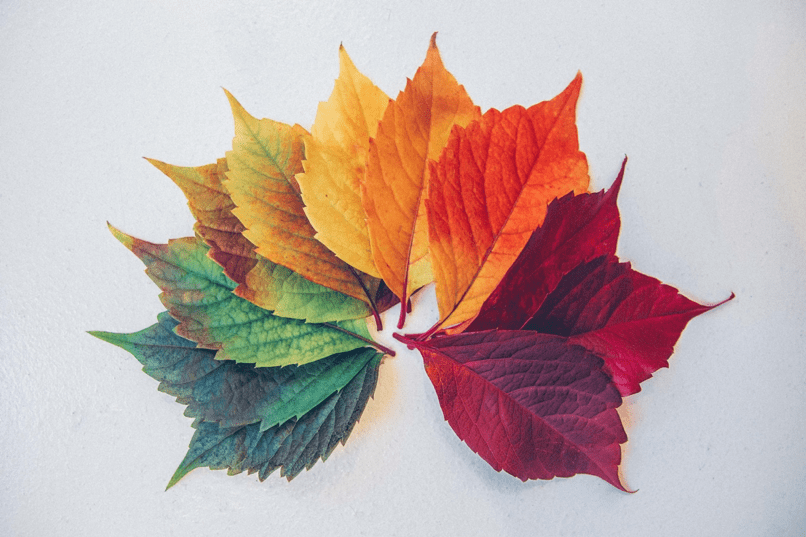 Clever Ways to Protect Yourself From the Weather