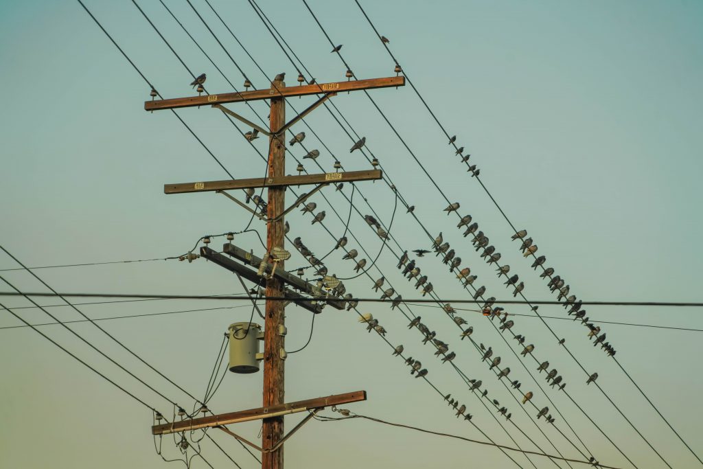 Saving on Utilities in Japan