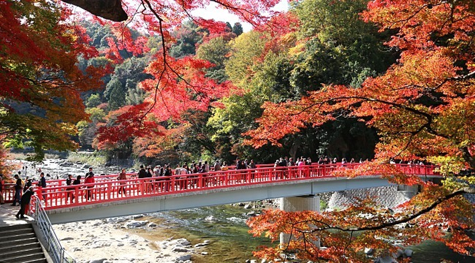 Local Area Guide: Korankei