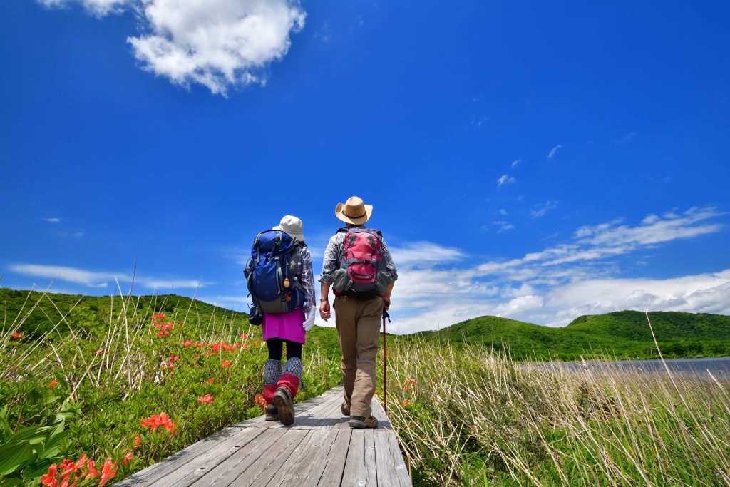 Best Hiking Spots Near Tokyo