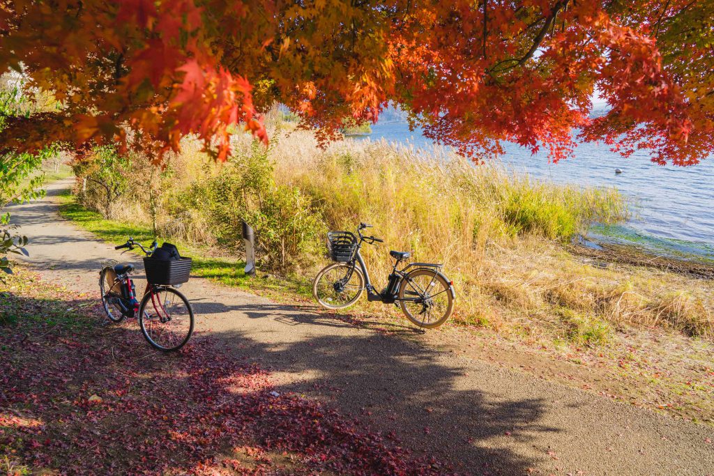 Biking in autumn