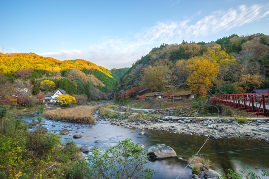 Thiên nhiên ở Aichi