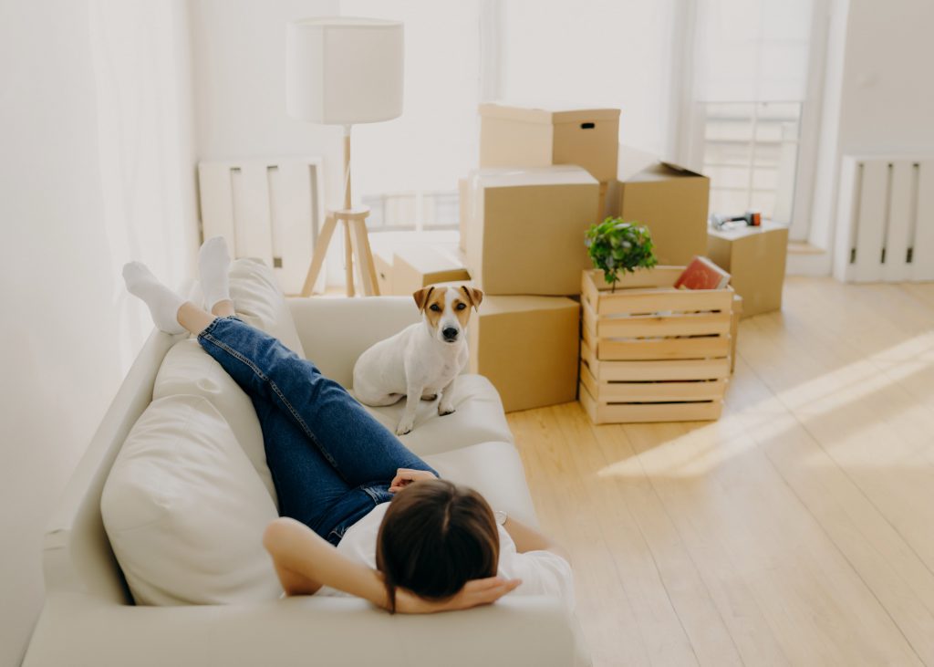 Top Pet Friendly Apartments