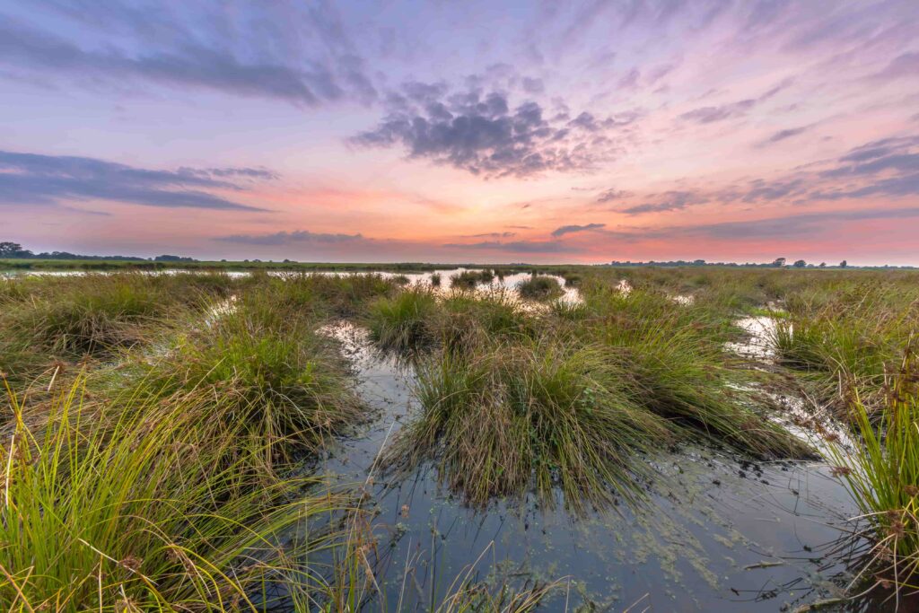 Um Guia Sobre Cômodos Com Tatames