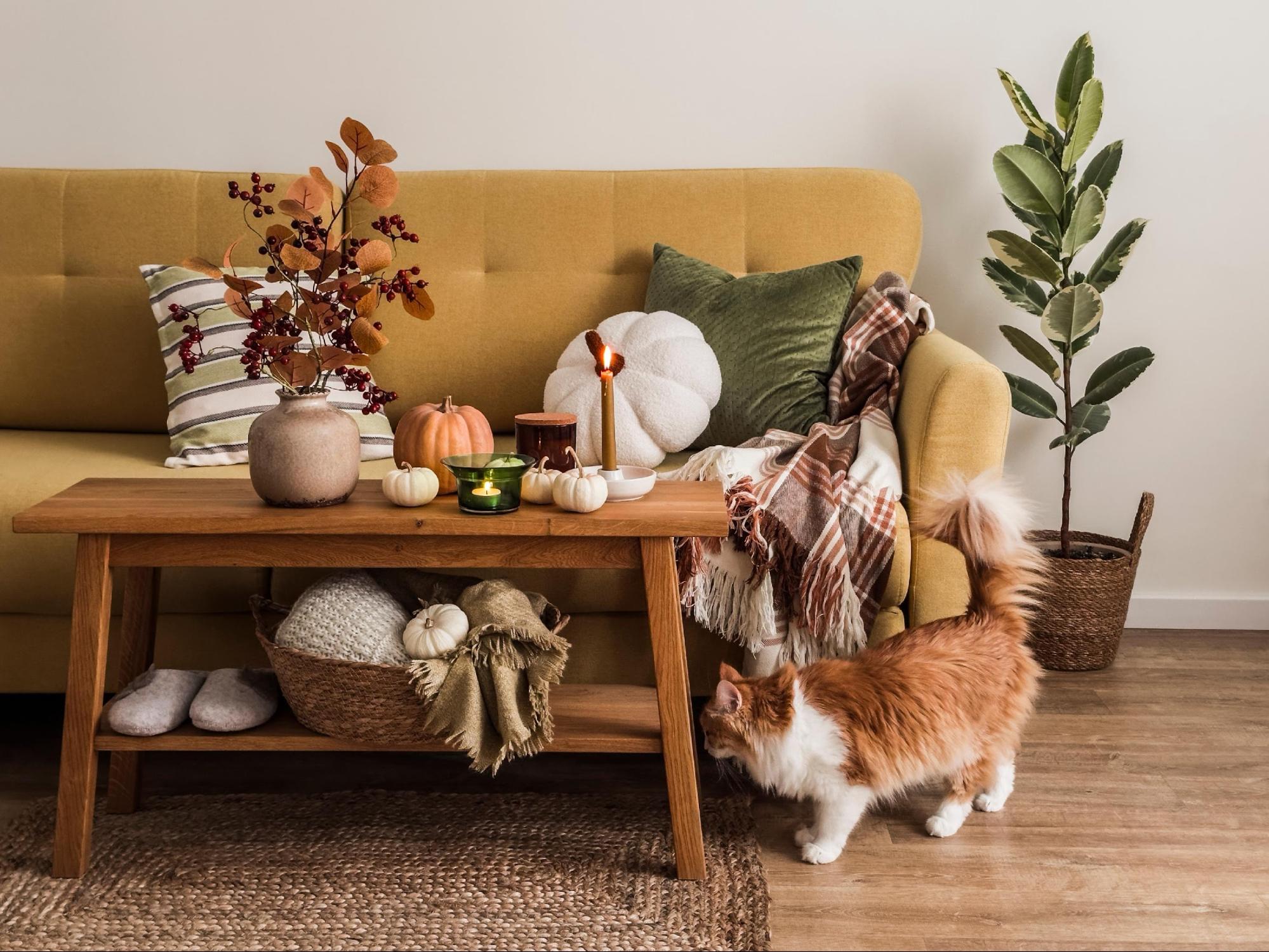 Fall-Inspired Apartment Decor for Budget-Friendly Living in Japan 