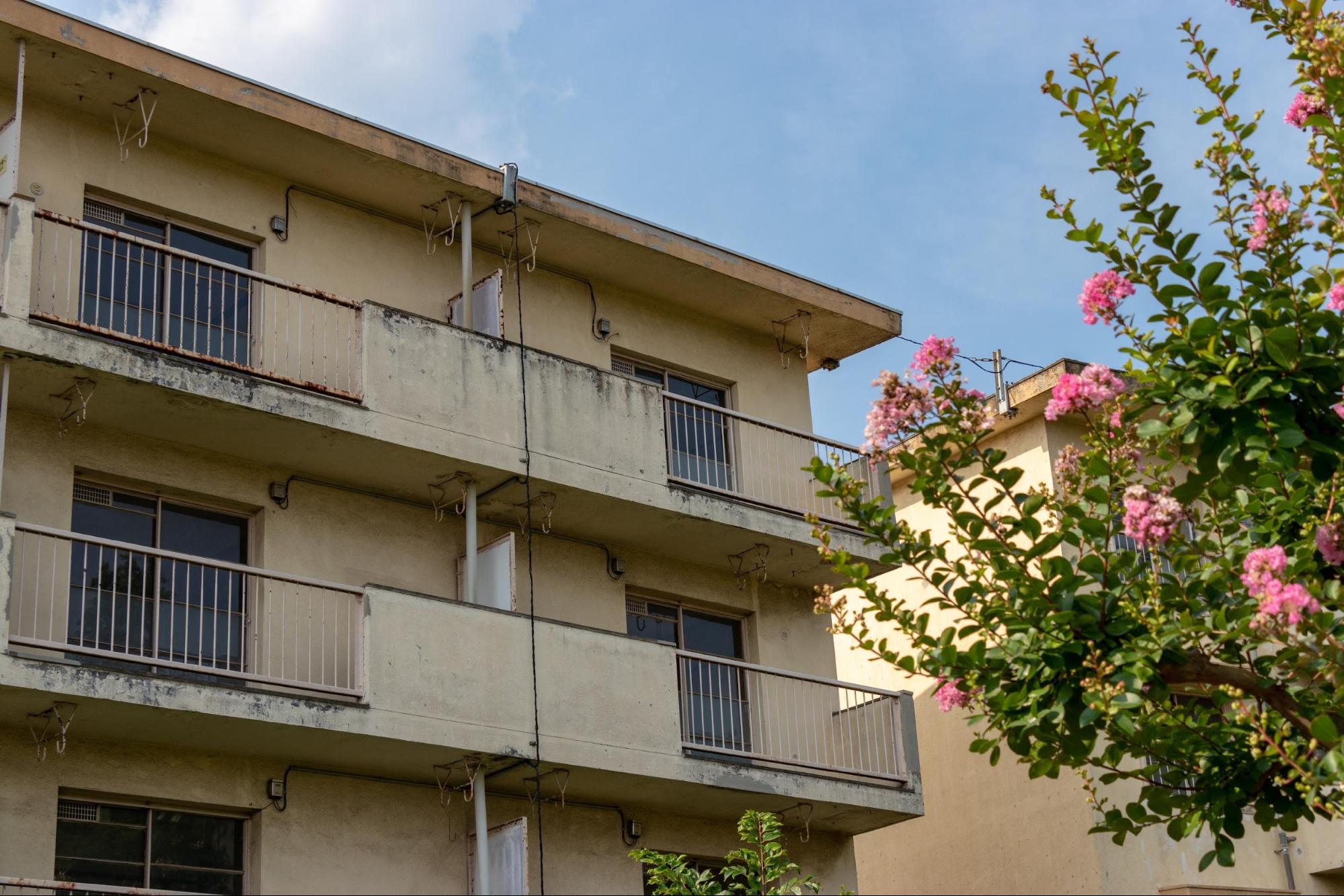 Rental Property Deterioration and Wear and Tear: Longevity, Restoration, and Consultation Tips