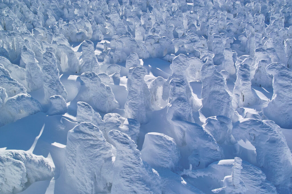 5 Điểm Đến Mùa Đông Khiến Bạn Mê Mẩn (Vùng Tohoku) 