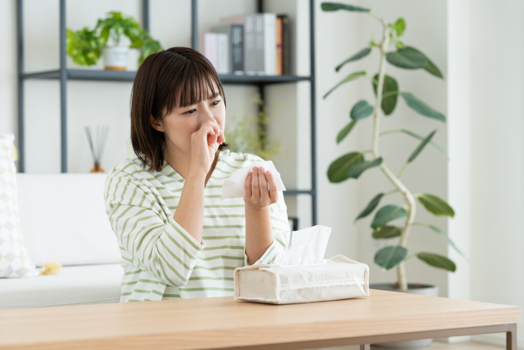 How to Keep Your Home Pollen-Free 