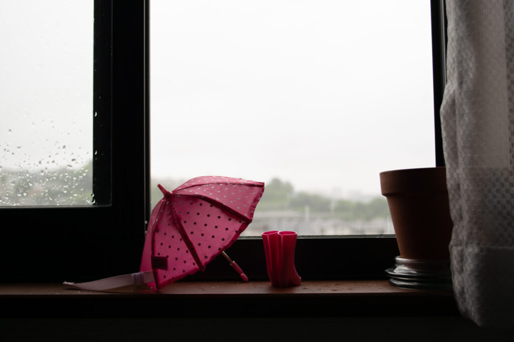 Essential Prep for the Rainy Season: How to Manage Humidity 