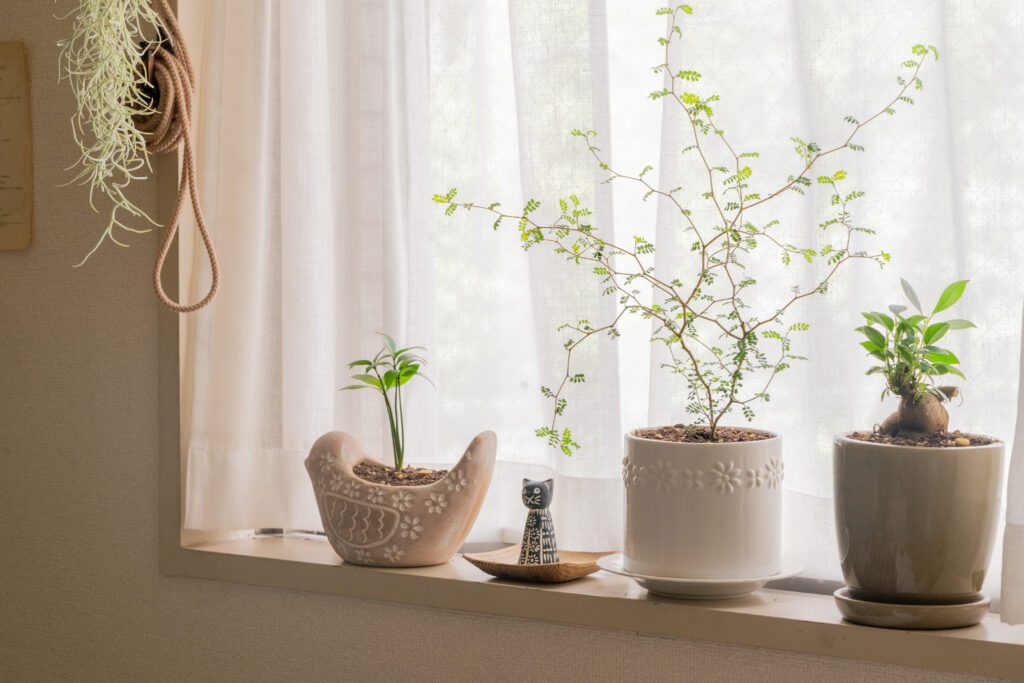 Como incorporar o design de interiores nórdico em sua casa